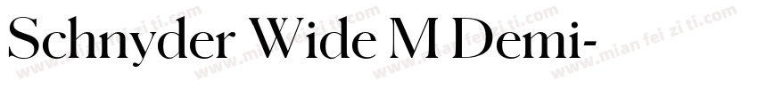 Schnyder Wide M Demi字体转换